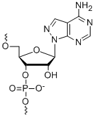 Bio-Synthesis Inc. Oligo Structure